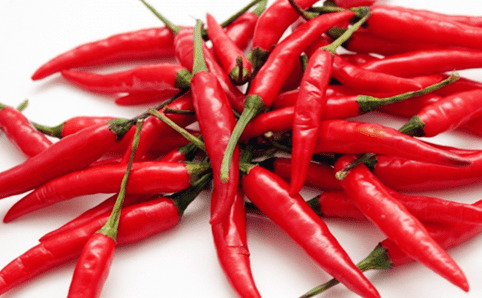 比特犬呕吐该怎么办?比特犬呕吐是怎么回事 比特犬呕吐该怎么办?比特犬呕吐是怎么回事