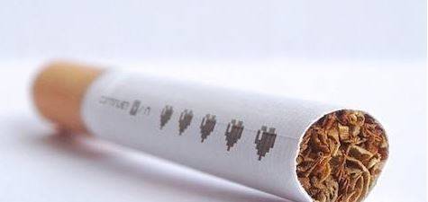 狗狗的身上跳蚤过多?送你好多个“小秘方”,轻轻松松祛除跳蚤 狗狗的身上跳蚤过多?送你好多个“小秘方”,轻轻松松祛除跳蚤