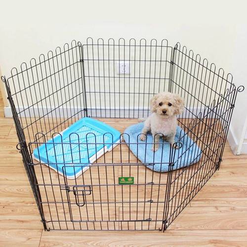 泰迪耳螨药有卖吗,有关泰迪耳螨药人药店有卖吗 泰迪耳螨药有卖吗,有关泰迪耳螨药人药店有卖吗