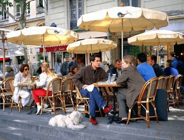 这5种海外狗在我国已然成为大众狗,价钱适度高颜值,很合适饲养 这5种海外狗在我国已然成为大众狗,价钱适度高颜值,很合适饲养