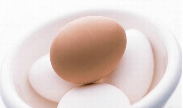 秋天宠物孕期,该从什么营养层面给予填补? 秋天宠物孕期,该从什么营养层面给予填补?