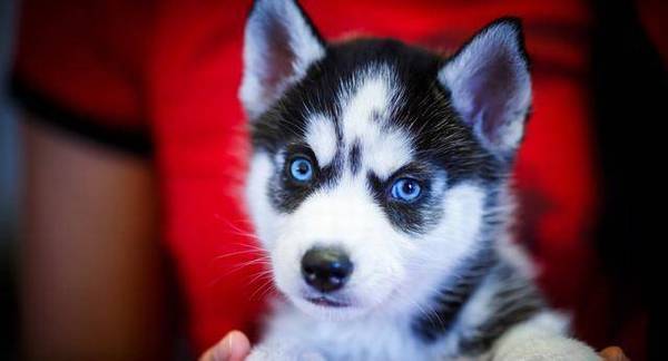 Ҳ׶˵ʿ洿֣Ҫ5㣬ƭ