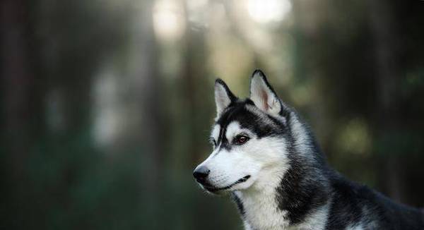 Ҳ׶˵ʿ洿֣Ҫ5㣬ƭ