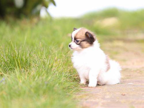 ܶŮԸҲԸĸΪʲôأ