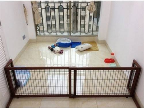 吉娃娃耳朵内黑了是耳螨吗 吉娃娃耳朵内黑了是耳螨吗