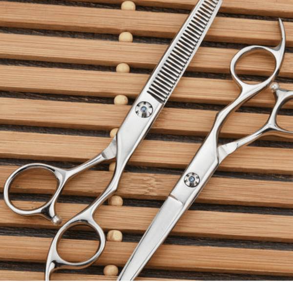 泰迪为何长耳螨,是怎么回事造成的 泰迪为何长耳螨,是怎么回事造成的