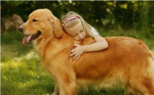 世界三大绝不咬人的狗 世界三大绝不咬人的狗