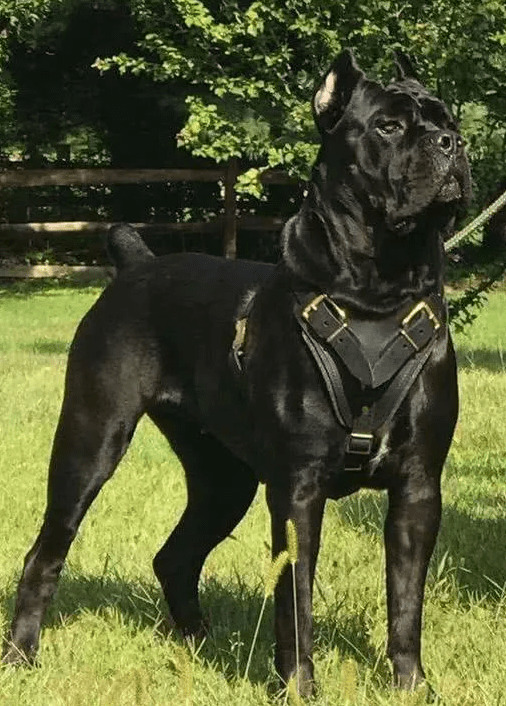 ûɾȮǾȮʧйȮѡС