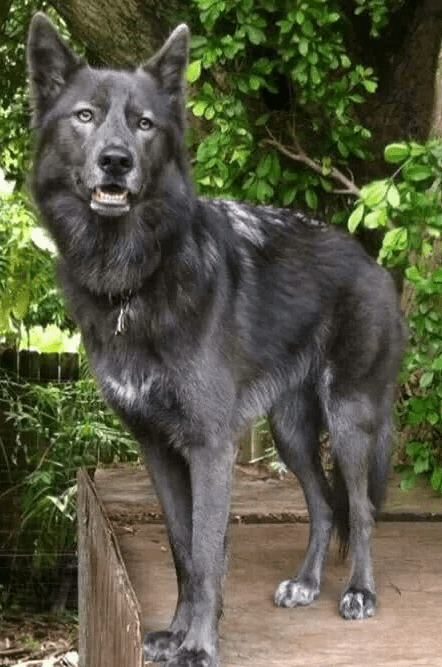 ûɾȮǾȮʧйȮѡС