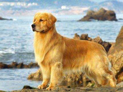 ëؽ˽ӦԤ?ֵ֢״Щأն٣