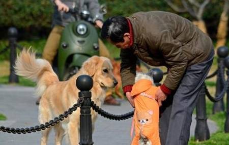 狗狗最简单的5个“愿望”,全部完成,才算是“狗生”圆满 狗狗最简单的5个“愿望”,全部完成,才算是“狗生”圆满