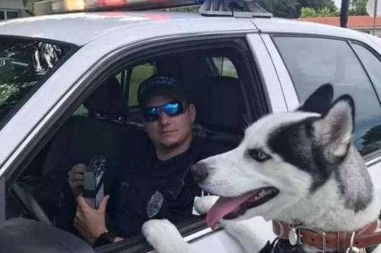 Ϊʲô˵ʿ治ԵȮֻϰȡóɹ