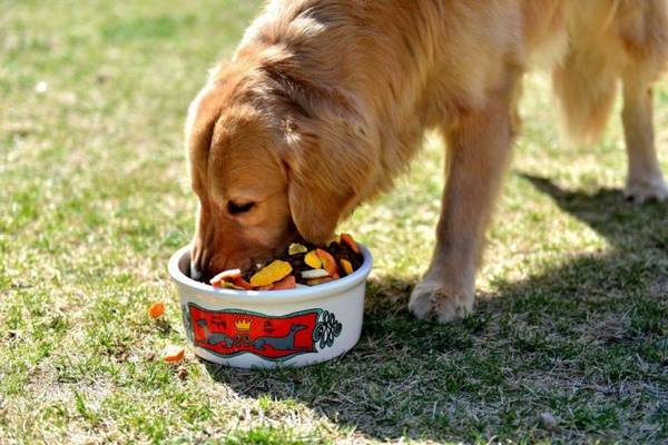 ´μе8󳣼һҪ˽⣡