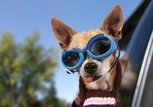 ´μе8󳣼һҪ˽⣡