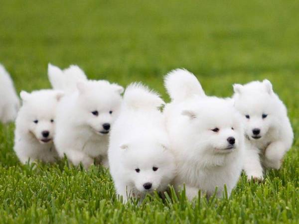 ´μе8󳣼һҪ˽⣡