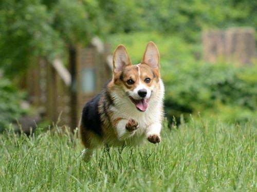 ´μе8󳣼һҪ˽⣡