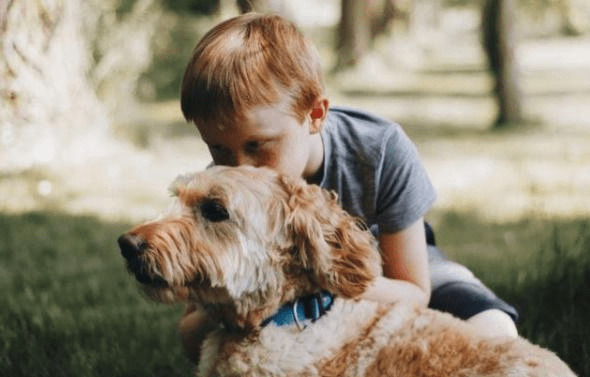 不遛狗有哪些不良影响?小编来告诉你 不遛狗有哪些不良影响?小编来告诉你