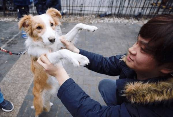 遛狗的实际意义,并不只是处理上厕所,也有那些益处 遛狗的实际意义,并不只是处理上厕所,也有那些益处