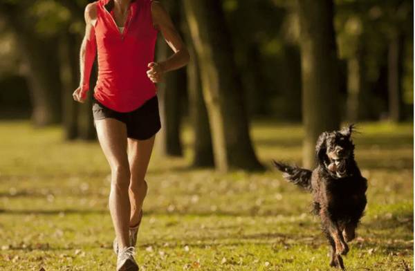 遛狗的实际意义,并不只是处理上厕所,也有那些益处 遛狗的实际意义,并不只是处理上厕所,也有那些益处