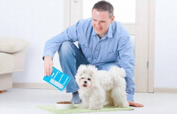 喂养幼犬的10个关键点,主人可要个人收藏好啦 喂养幼犬的10个关键点,主人可要个人收藏好啦