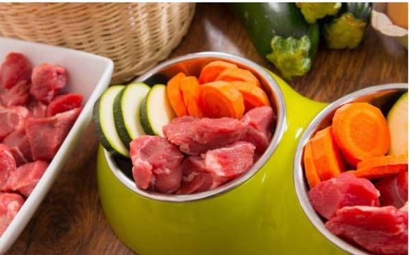 幼犬6大喂养规则,养宠物人注意事项! 幼犬6大喂养规则,养宠物人注意事项!