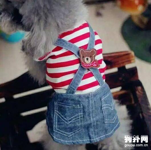 狗狗衣服制作过程中裁剪时有哪些注意事项? 狗狗衣服制作过程中裁剪时有哪些注意事项?