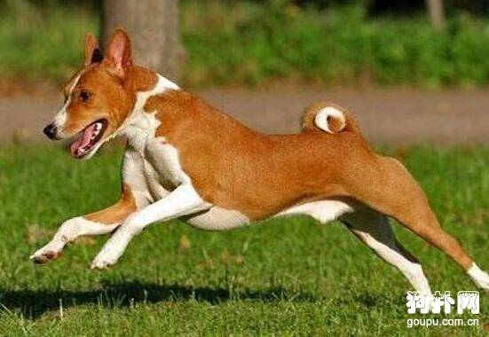 ëȮЩƷ̵֣㳣ֶëȮ