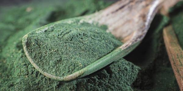 让博美犬头发好看7种食材,你喂了没有? 让博美犬头发好看7种食材,你喂了没有?