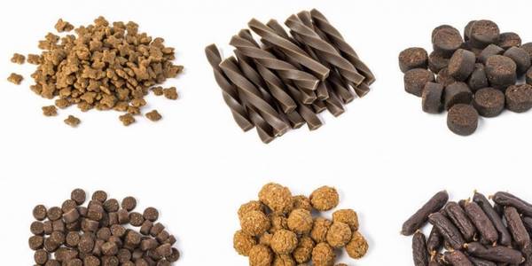 让博美犬头发好看7种食材,你喂了没有? 让博美犬头发好看7种食材,你喂了没有?