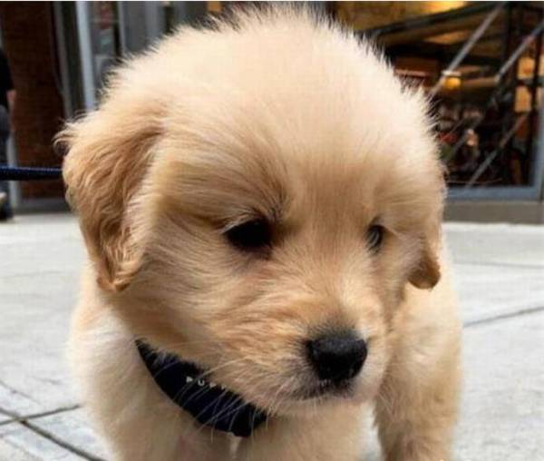 ����ѧ�߲�ʺ�ٿ��Ĺ������跽ʽ