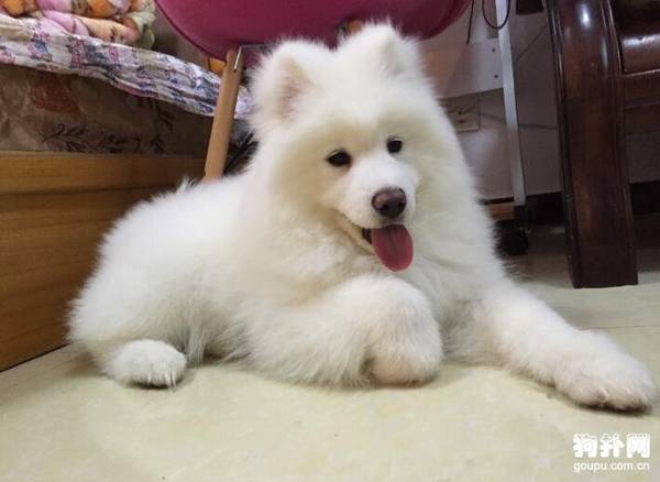 ִȮʺϼ̵ʺϼ10ִȮ