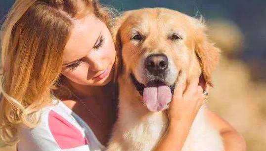 狗狗被主人和别人抚摸时的感受根本不一样,别随便撸狗。 狗狗被主人和别人抚摸时的感受根本不一样,别随便撸狗。