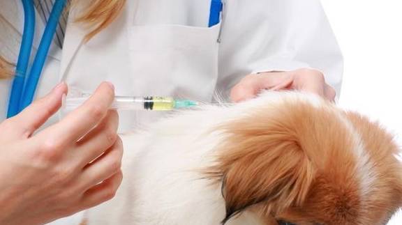 עˣ繷4źţܿǻ˿Ȯ