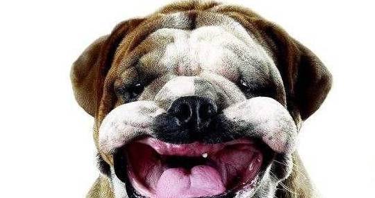 עˣ繷4źţܿǻ˿Ȯ