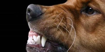 עˣ繷4źţܿǻ˿Ȯ