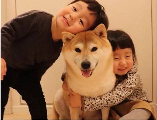 这种你永远不知道的养狗内幕,越快知晓越划算! 这种你永远不知道的养狗内幕,越快知晓越划算!