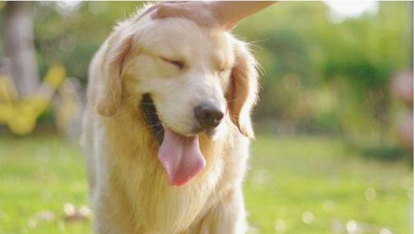 СβӪɷ?ĸСҪЩӪɷ