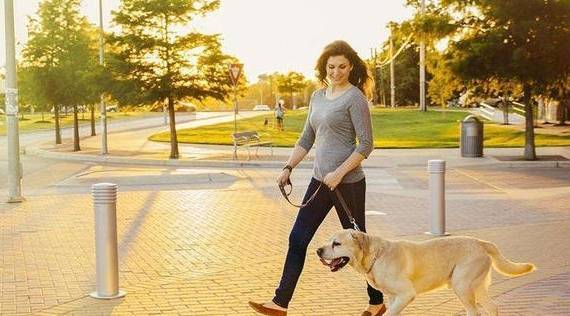 夏天遛狗的忌讳,那样对狗狗做,如同“上刑”! 夏天遛狗的忌讳,那样对狗狗做,如同“上刑”!