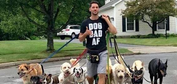 夏天遛狗的忌讳,那样对狗狗做,如同“上刑”! 夏天遛狗的忌讳,那样对狗狗做,如同“上刑”!