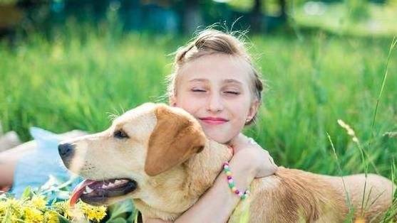 养拉布拉多,最怕碰见的5件事,戳中你了吗? 养拉布拉多,最怕碰见的5件事,戳中你了吗?