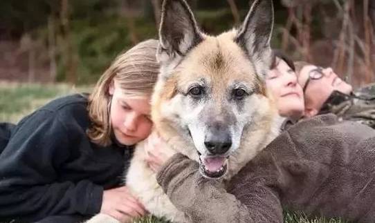 揭密:小狗每日究竟都是在想干什么?让我对你说 揭密:小狗每日究竟都是在想干什么?让我对你说