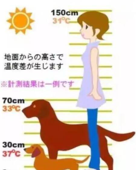 夏季冲澡这样做,等于等于残害毛孩子 夏季冲澡这样做,等于等于残害毛孩子