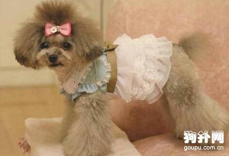 бҪ·𣬹ΪʲôҪ·