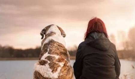 什么人养什么狗居然是有科学论证的?一起来看看哪些狗狗合适你啊 什么人养什么狗居然是有科学论证的?一起来看看哪些狗狗合适你啊