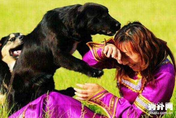 为什么有些人会被狗咬? 为什么有些人会被狗咬?