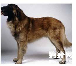 ˹رɽȮ׼˹رɽȮ۸