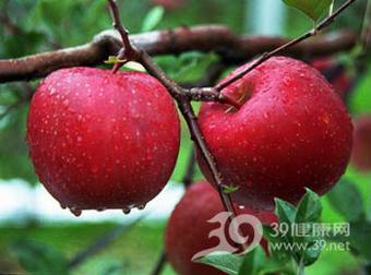 药食双补延年益寿