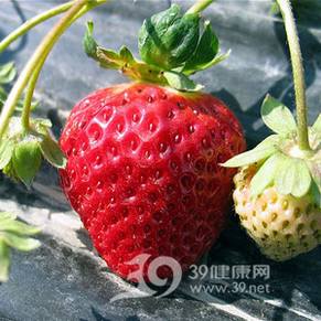 增强免疫力“菜单”