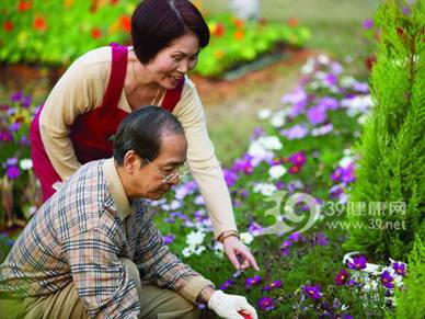 老人养花注意“花毒”