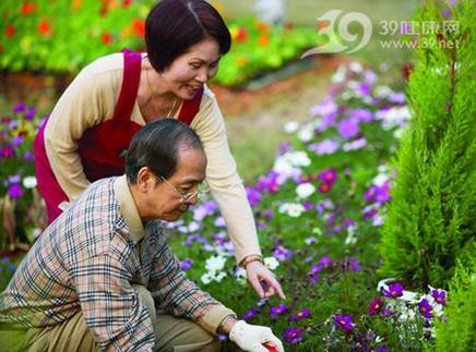 适宜老人种养的植物有哪些
